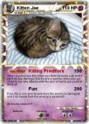 Kitten Jae