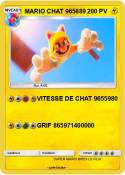MARIO CHAT