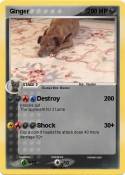 Ginger