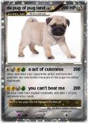 da pug of pug