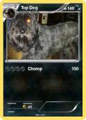 Top Dog