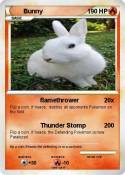 Bunny