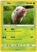 PIG