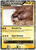 Mocha in da