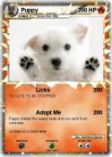 Puppy