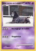 cane corso en