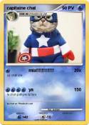 capitaine chat