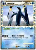 pinguyne