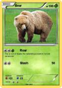 Bear