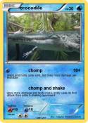 crocodile