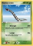 Titanboa snake