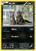 My cats