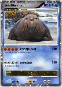 zeeolifant