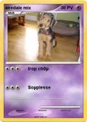 airedale mix