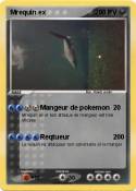 Mrequin ex