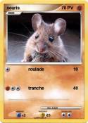 souris