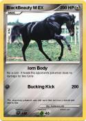 BlackBeauty M