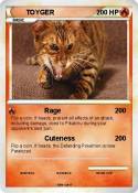 TOYGER