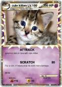cute kitten