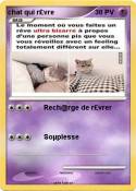 chat qui r£vre