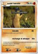 sodalt hamster