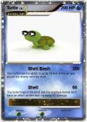 Turtle