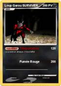 Loup Garou SURV