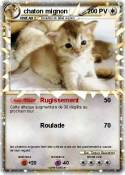 chaton mignon