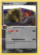 hamster ex