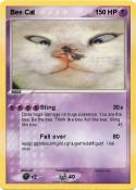 Bee Cat