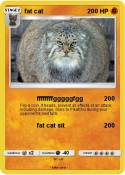 fat cat