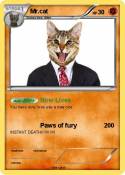 Mr.cat
