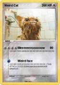 Weird Cat
