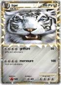 tiger