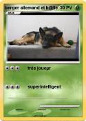 berger allemand