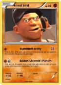 scout bird