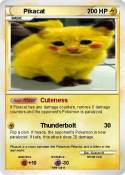 Pikacat