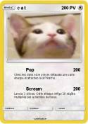 c a t