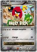birds