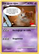chat @voir f@im