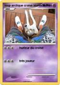 loup arctique