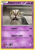 CRAZY CAT