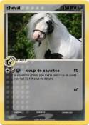 cheval