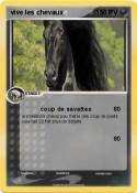 vive les chevau