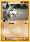 fight dog
