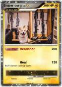 Sniper corgi
