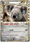 koala