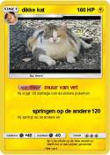 dikke kat
