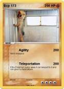 Scp 173