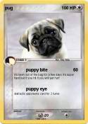 pug